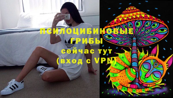 PSILOCYBIN Арсеньев
