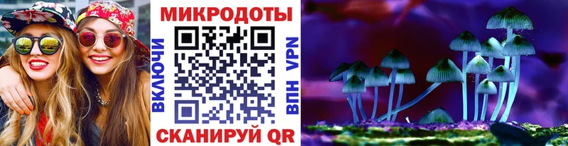 Псилоцибиновые грибы Psilocybine cubensis  Оса 